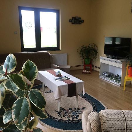 Appartement Zvezdica à Bajina Basta Extérieur photo