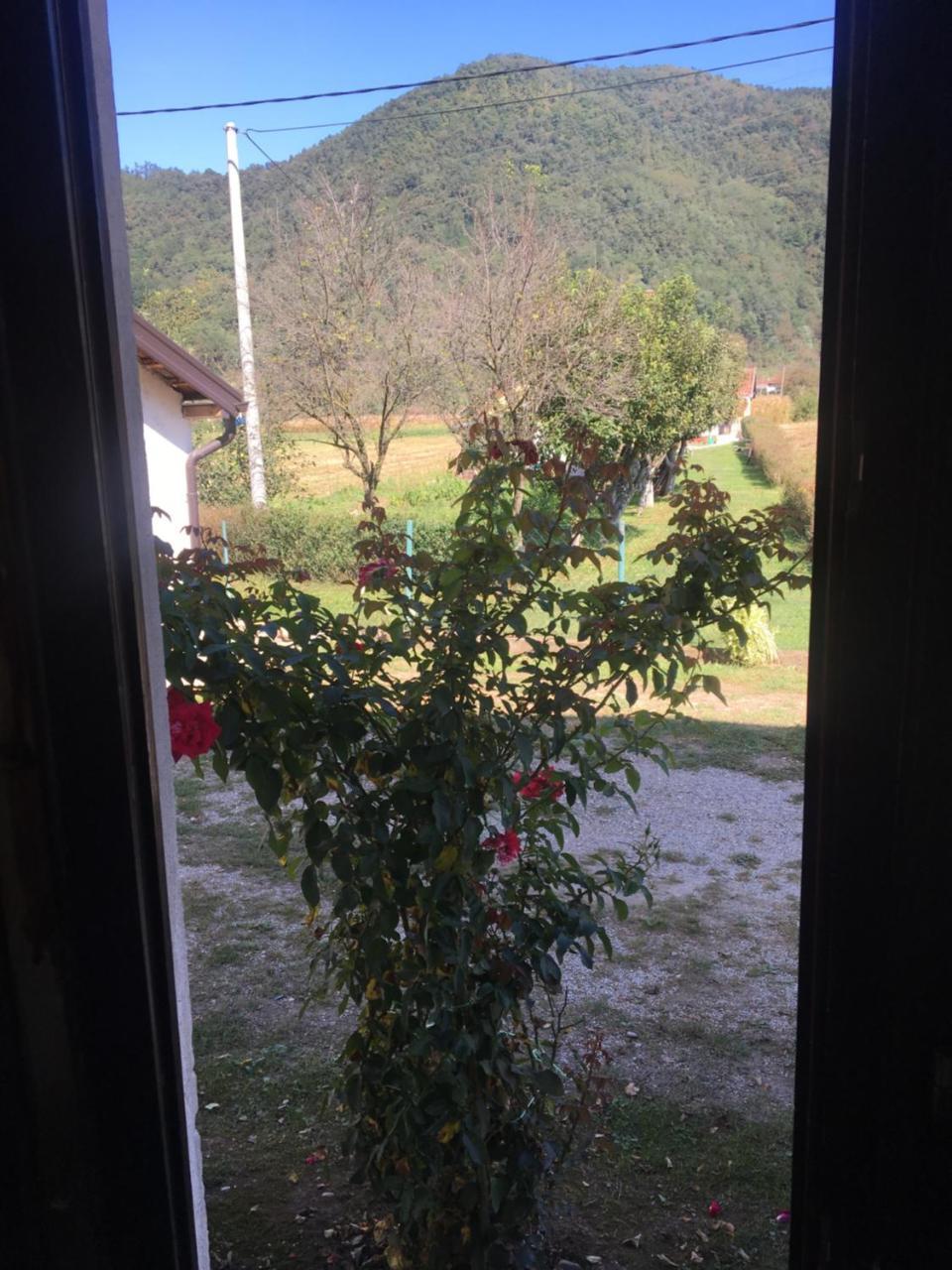 Appartement Zvezdica à Bajina Basta Extérieur photo