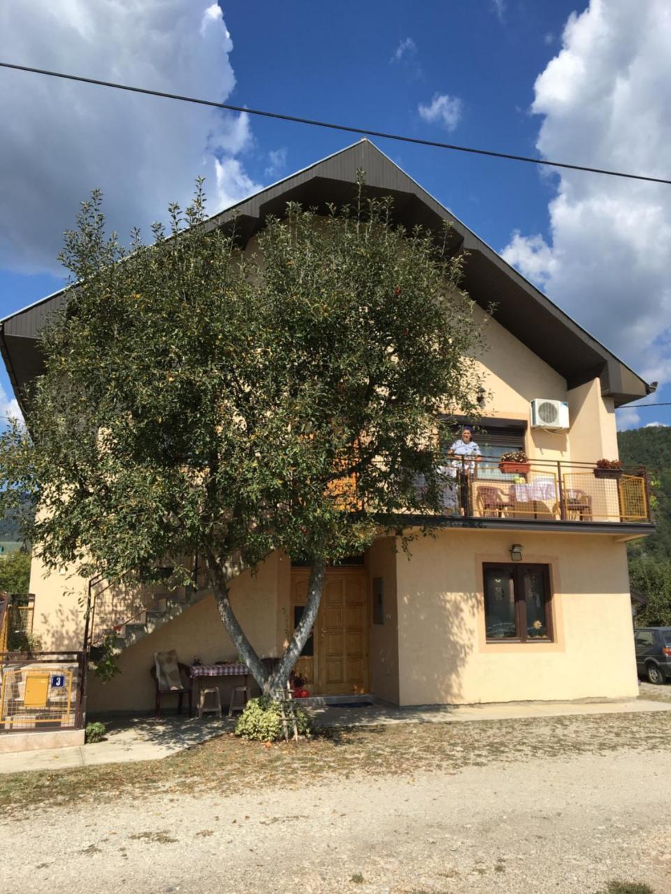 Appartement Zvezdica à Bajina Basta Extérieur photo